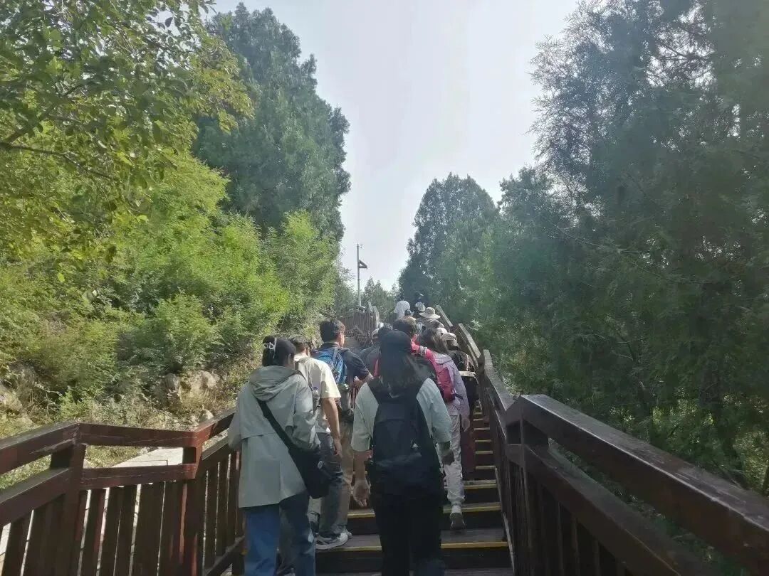 微信图片_202309181407458 - 副本.jpg